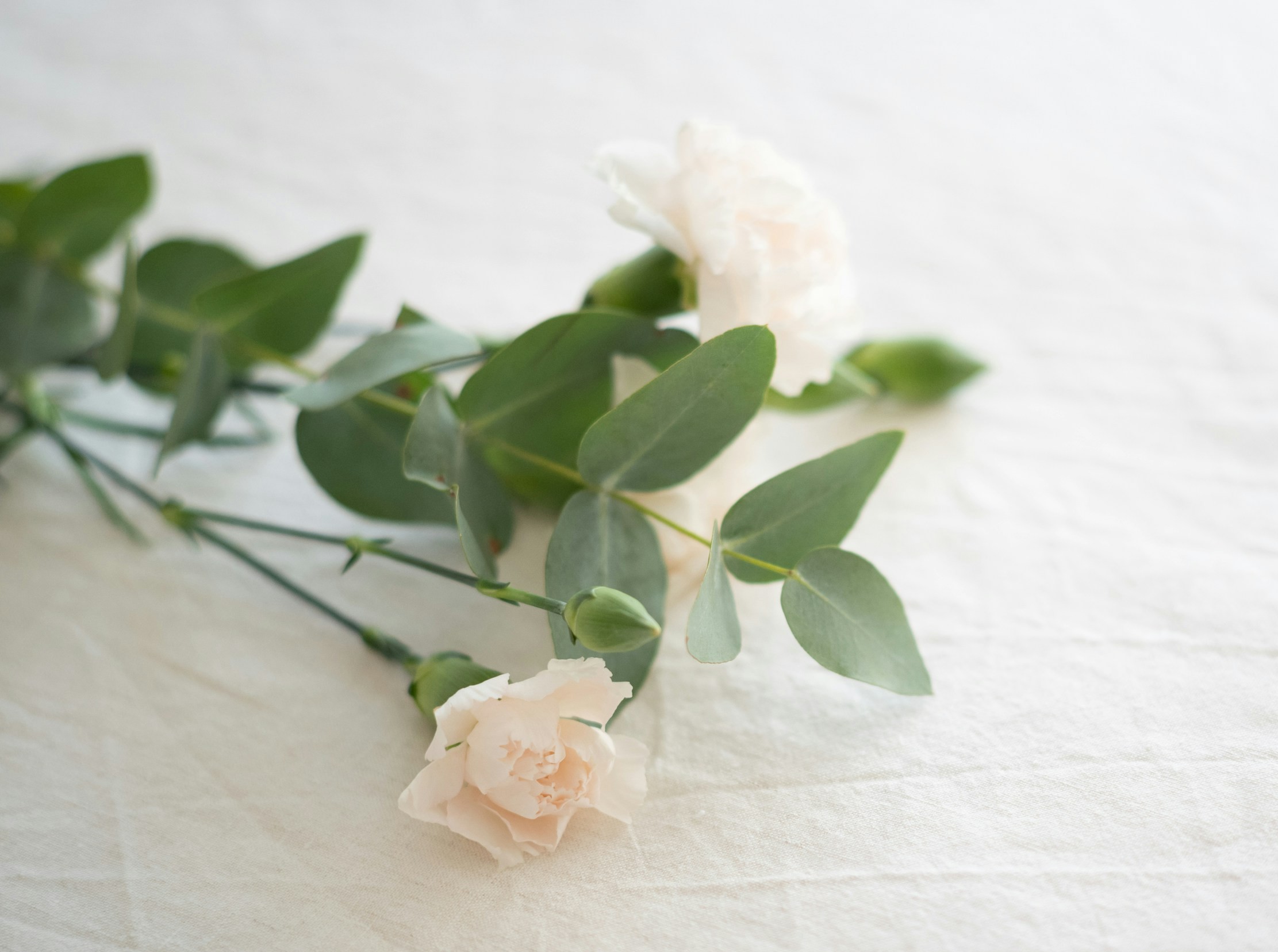 Funeral flowers