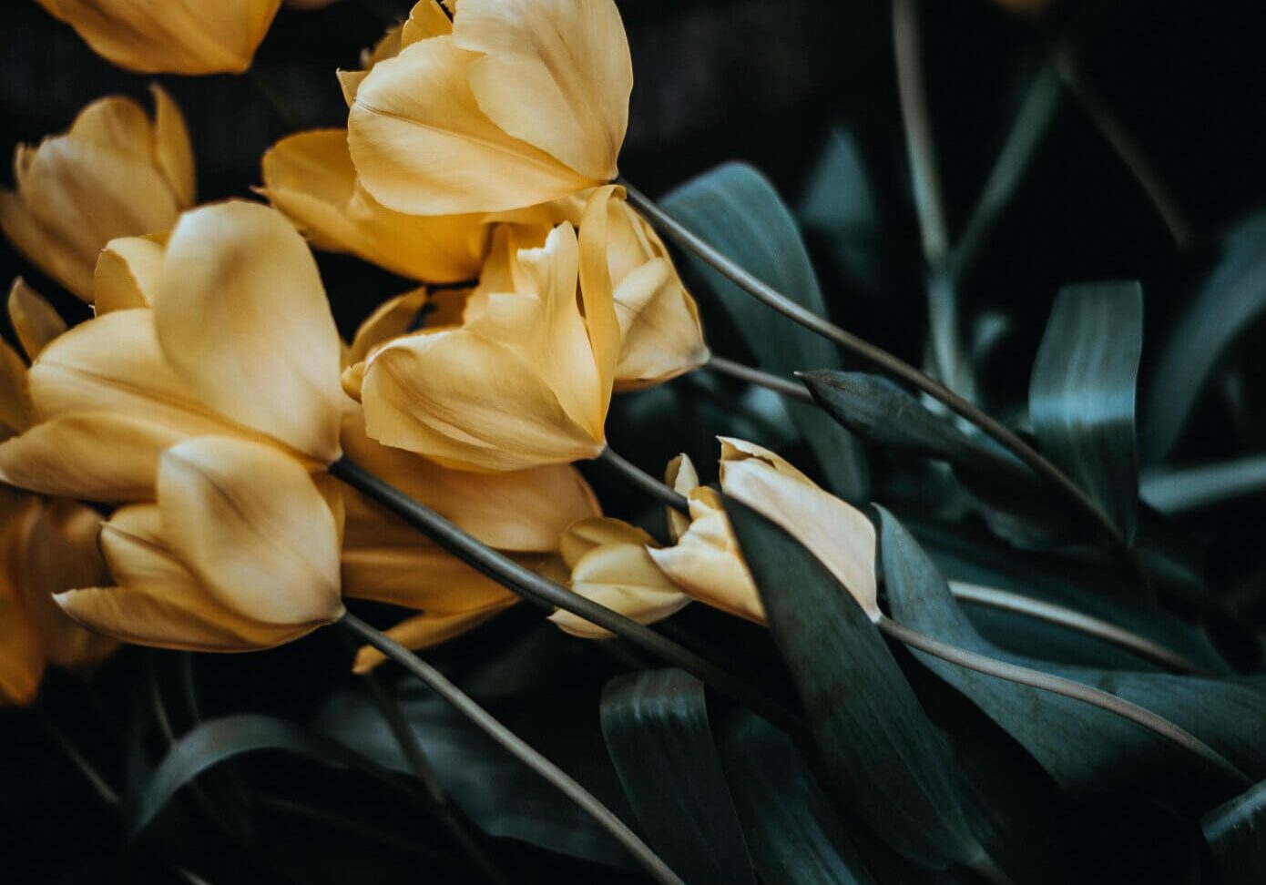annie-spratt-e92dhXE8PUg-unsplash